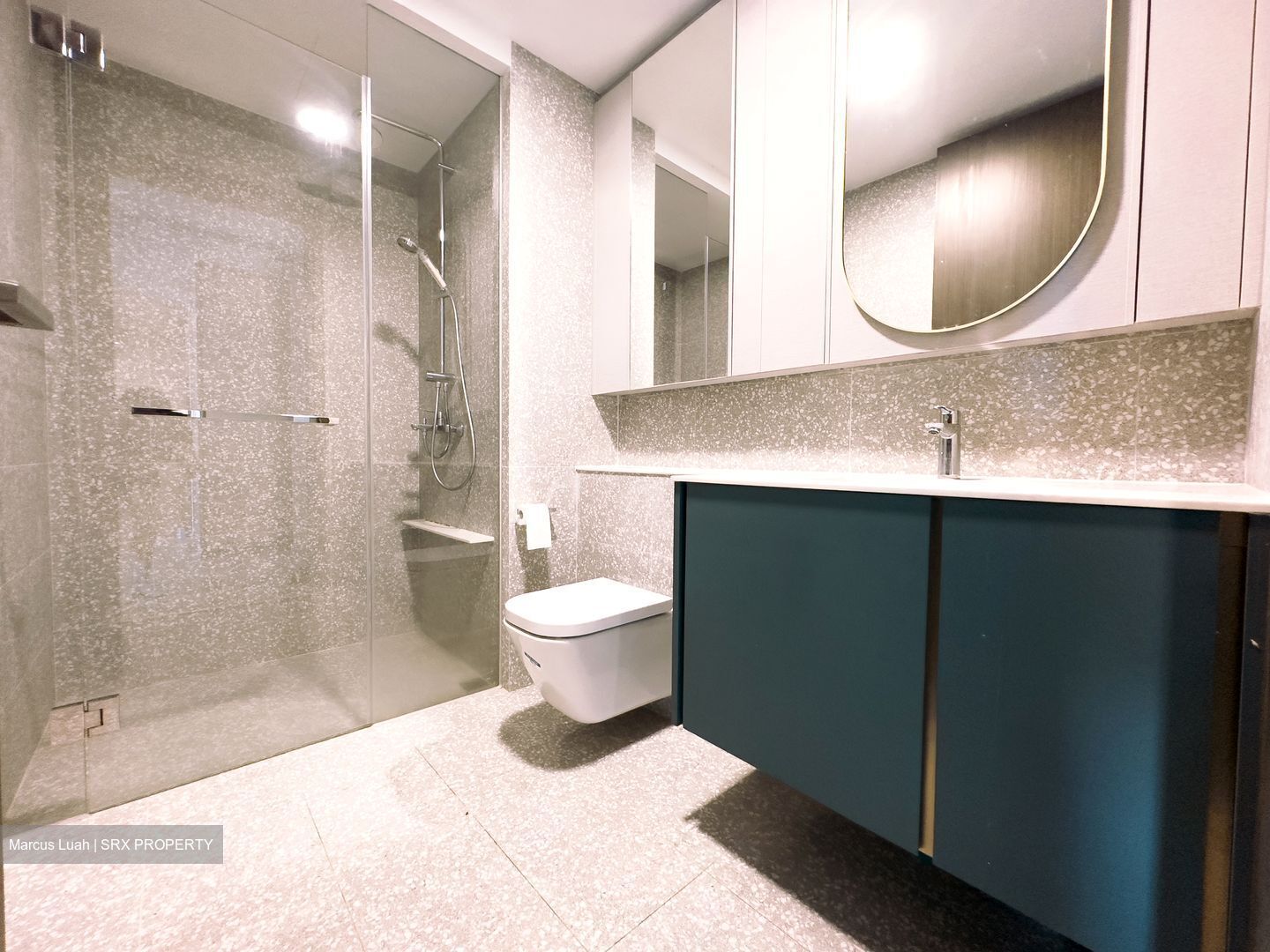 Clavon (D5), Apartment #486498231